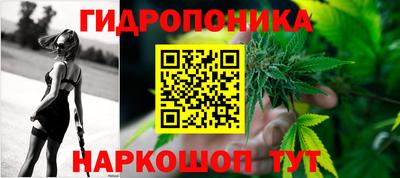 PSILOCYBIN Гусь-Хрустальный
