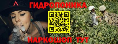 PSILOCYBIN Гусь-Хрустальный