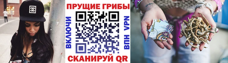 маркетплейс формула  хочу   Алапаевск  Галлюциногенные грибы мухоморы 
