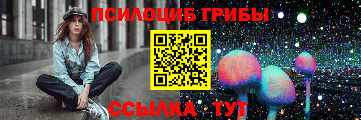 Галлюциногенные грибы мицелий  Вход с VPN  Алапаевск  Галлюциногенные грибы Psilocybe 