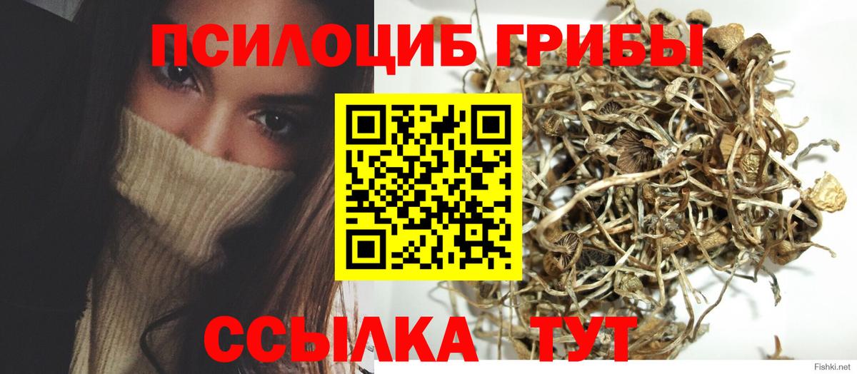 Псилоцибиновые грибы ЛСД Алапаевск